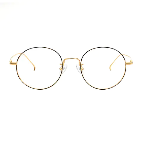 Round Black Gold Eyeglasses