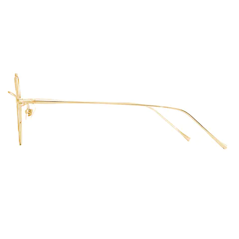 Round Gold Eyeglasses