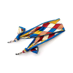 Multicolor Eyeglass Strap
