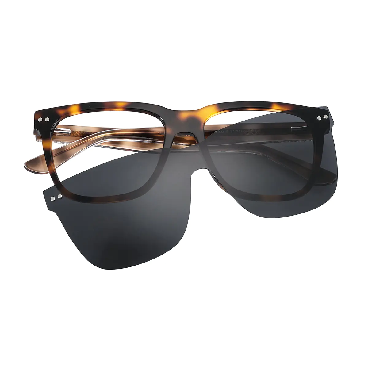 Square Tortoiseshell Eyeglasses