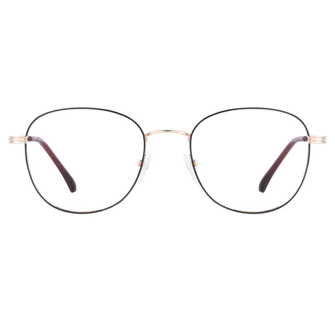Round Black Gold Eyeglasses