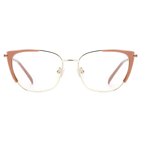 Square Brown Eyeglasses