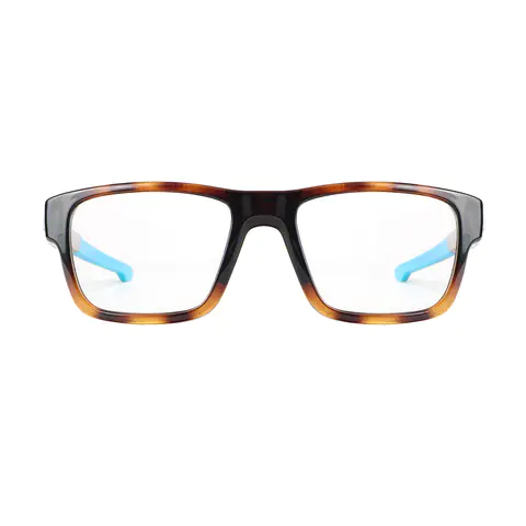 Rectangle Tortoiseshell/Blue Eyeglasses