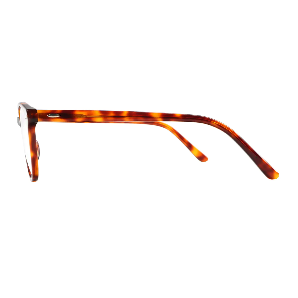 Oval Tortoiseshell Eyeglasses