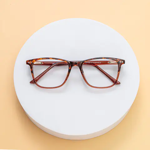 Rectangle Tortoiseshell/Brown Eyeglasses