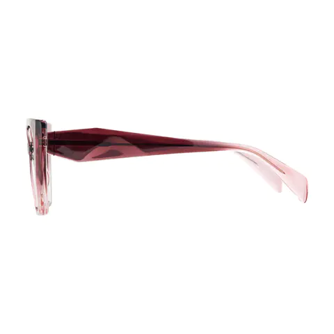 Geometric Brown/Transparent Pink Eyeglasses