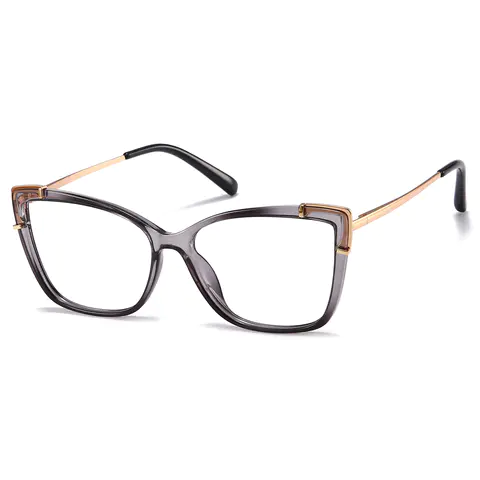 Rectangle Transparent Gray Eyeglasses
