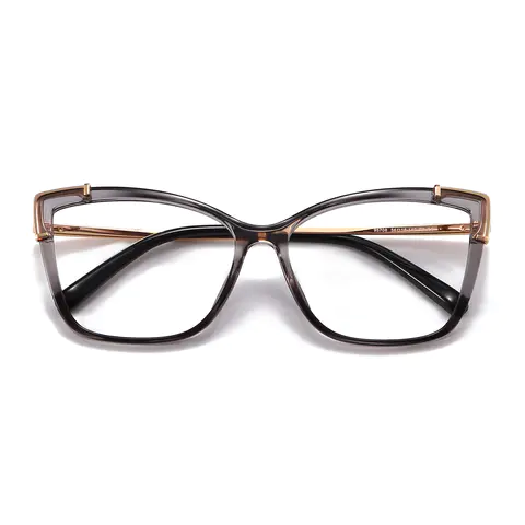 Rectangle Transparent Gray Eyeglasses