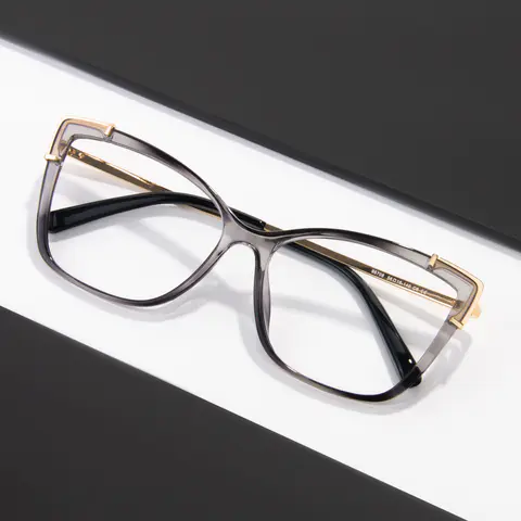 Rectangle Transparent Gray Eyeglasses