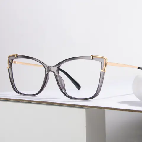 Rectangle Transparent Gray Eyeglasses