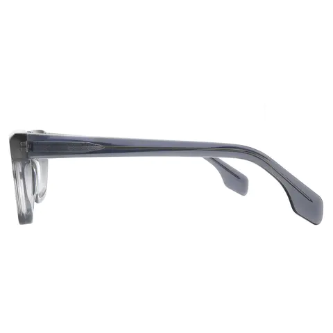 Rectangle Transparent Gray Eyeglasses