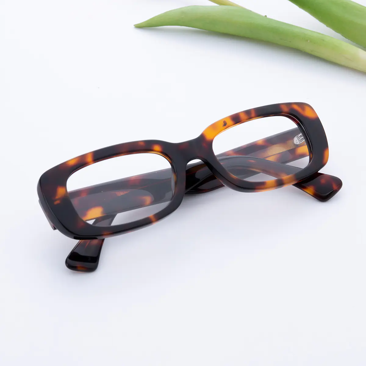 Rectangle Tortoiseshell Eyeglasses