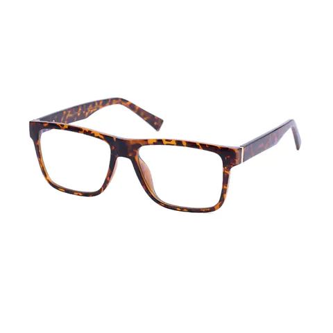 Rectangle Tortoiseshell Eyeglasses