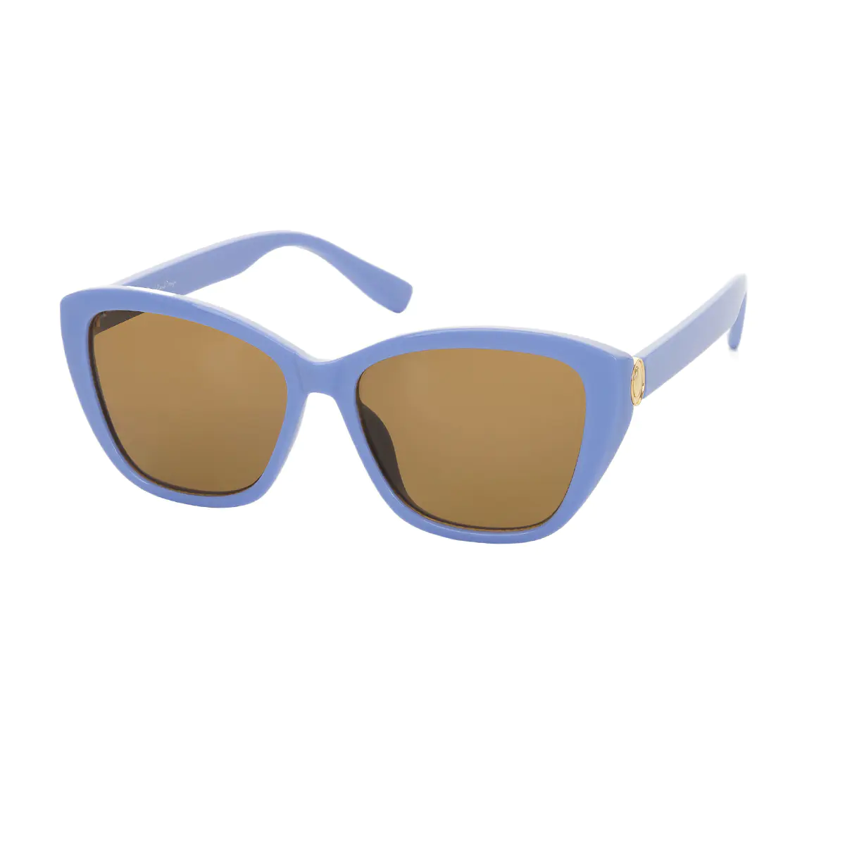 Cat-eye Transparent Blue Sunglasses