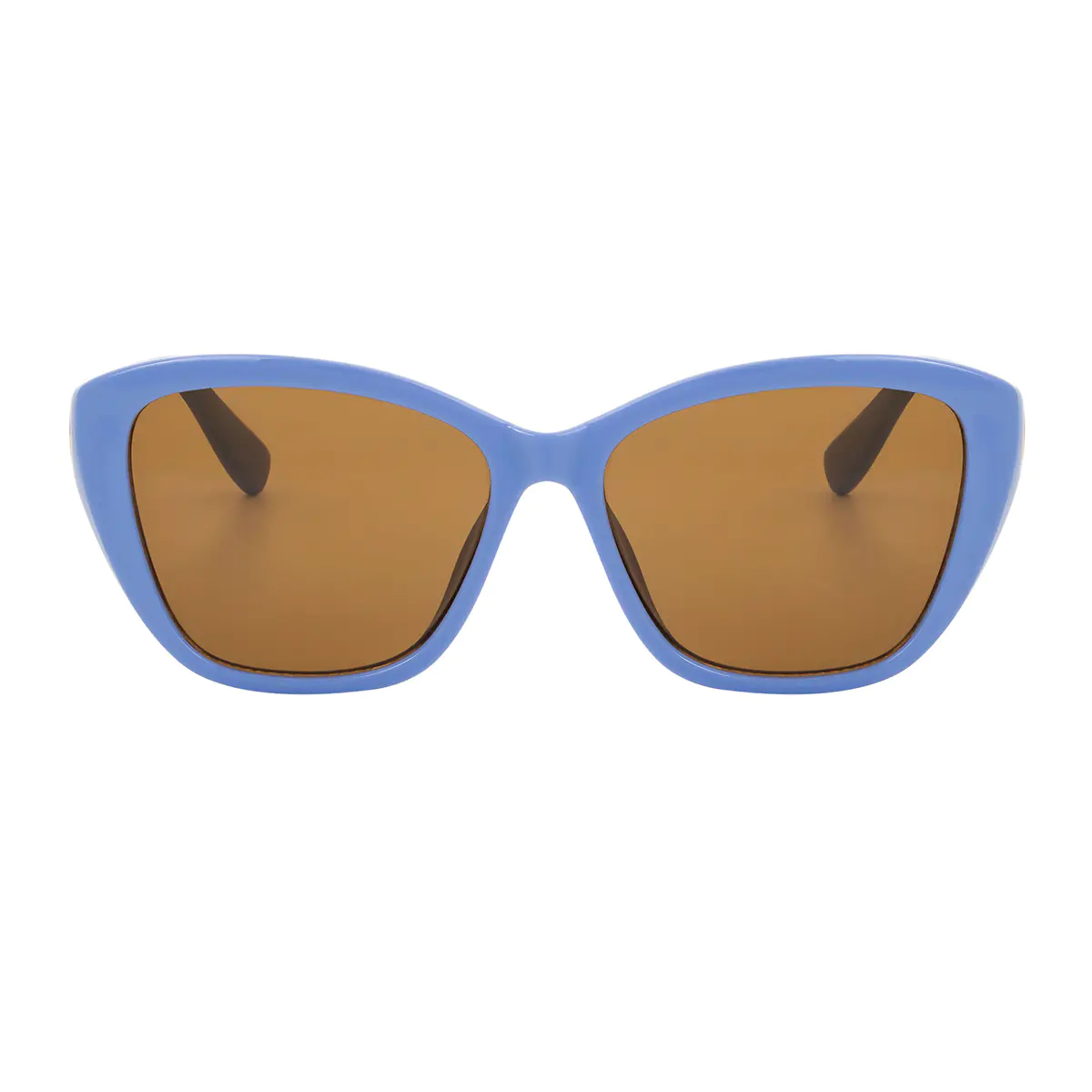 Cat-eye Transparent Blue Sunglasses