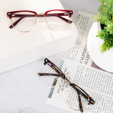 Browline Wine/Gold Eyeglasses