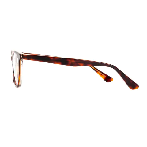 Oval Tortoiseshell Eyeglasses