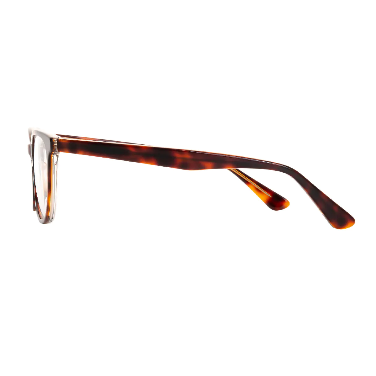 Oval Tortoiseshell Eyeglasses