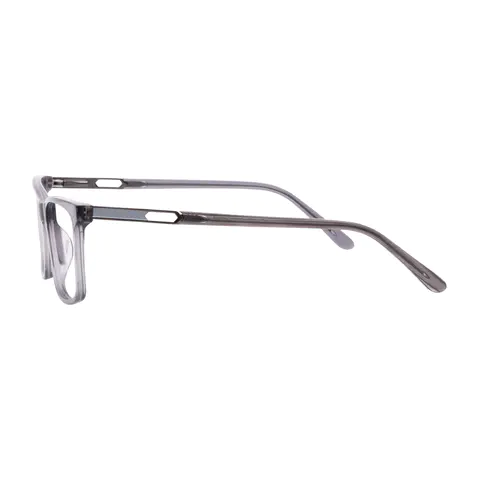 Rectangle Transparent Gray Eyeglasses