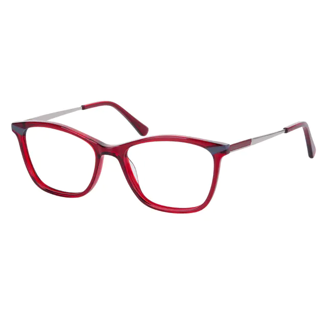 Rectangle Transparent Red Eyeglasses