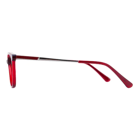 Rectangle Transparent Red Eyeglasses