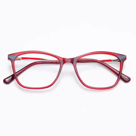 Rectangle Transparent Red Eyeglasses