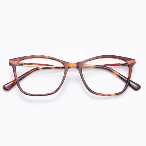 Rectangle Tortoiseshell Eyeglasses