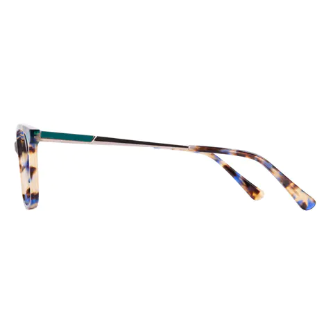 Rectangle Multicolor Eyeglasses