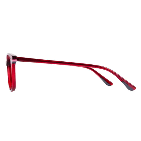 Rectangle Transparent Red Eyeglasses