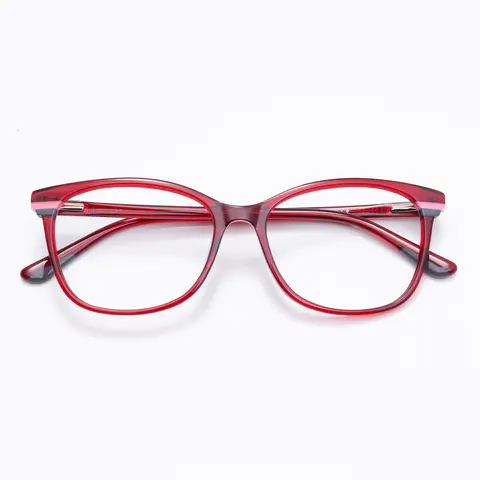 Rectangle Transparent Red Eyeglasses