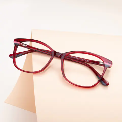 Rectangle Transparent Red Eyeglasses