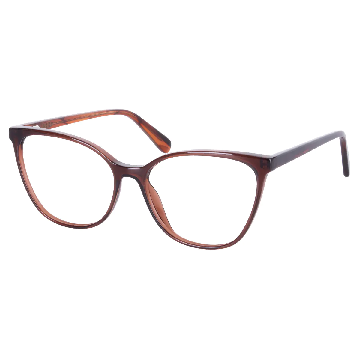 Square Brown Eyeglasses