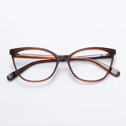Square Brown Eyeglasses