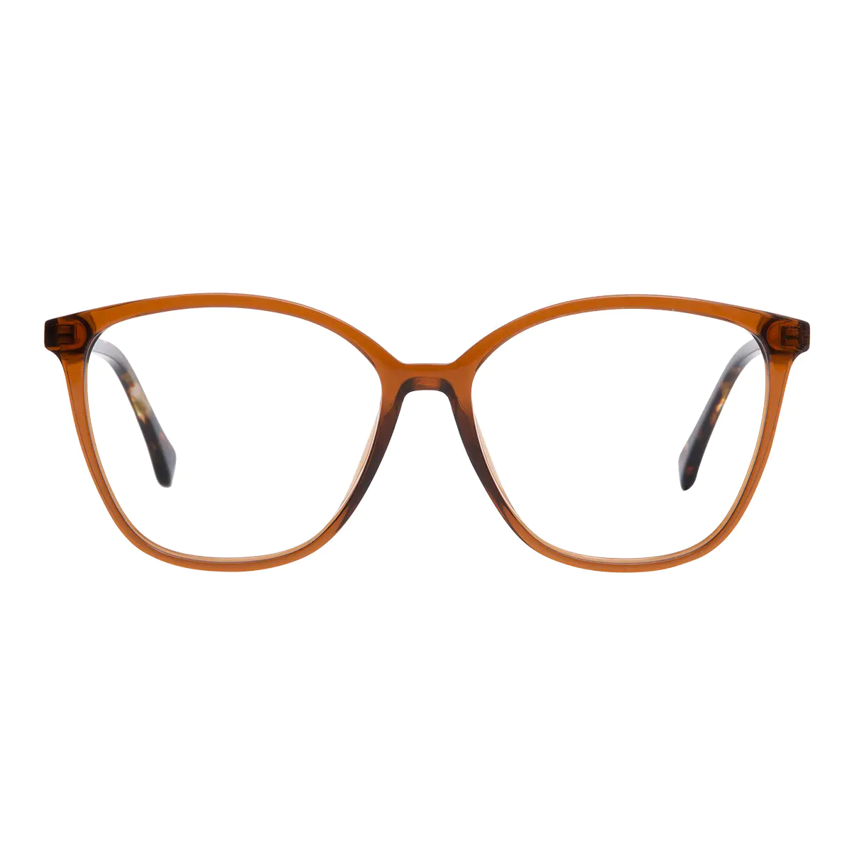 Square Brown Eyeglasses