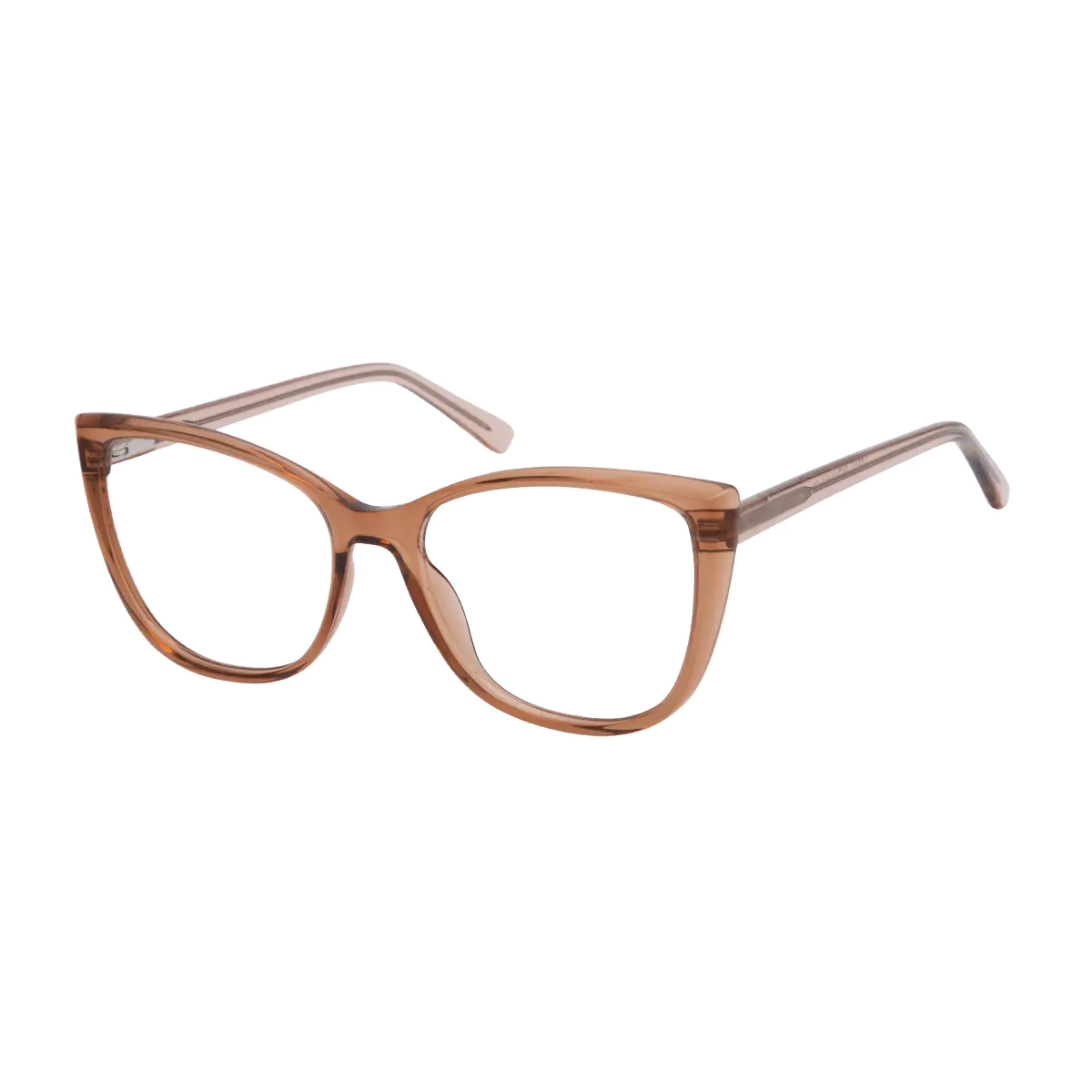Square Transparent Brown Eyeglasses