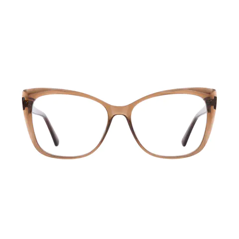Square Transparent Brown Eyeglasses
