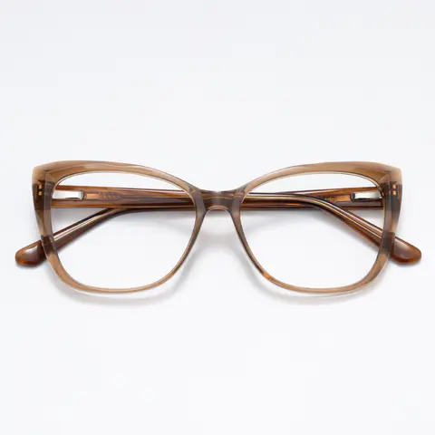 Square Transparent Brown Eyeglasses