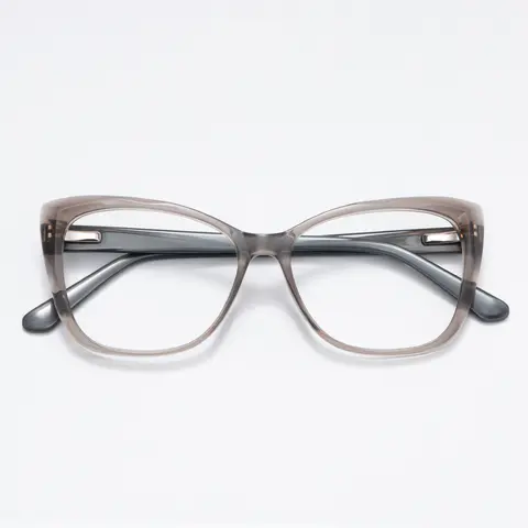 Square Transparent Gray Eyeglasses