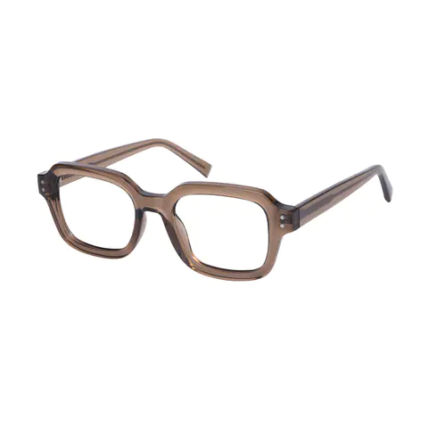 Rectangle Transparent Brown Eyeglasses