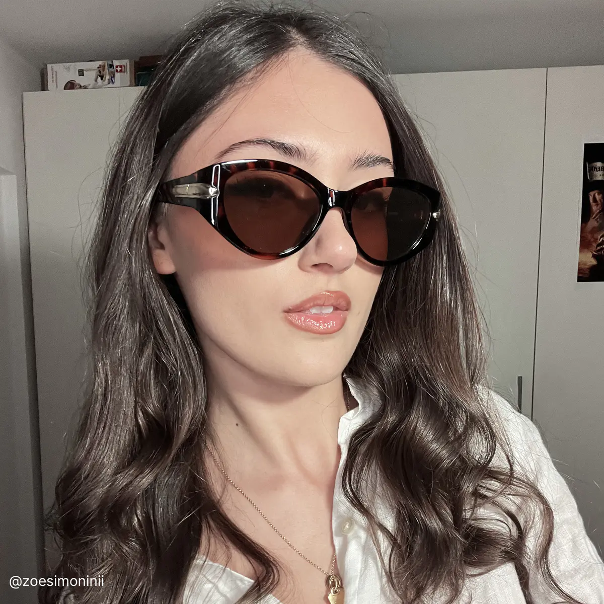 Oval Tortoiseshell Sunglasses