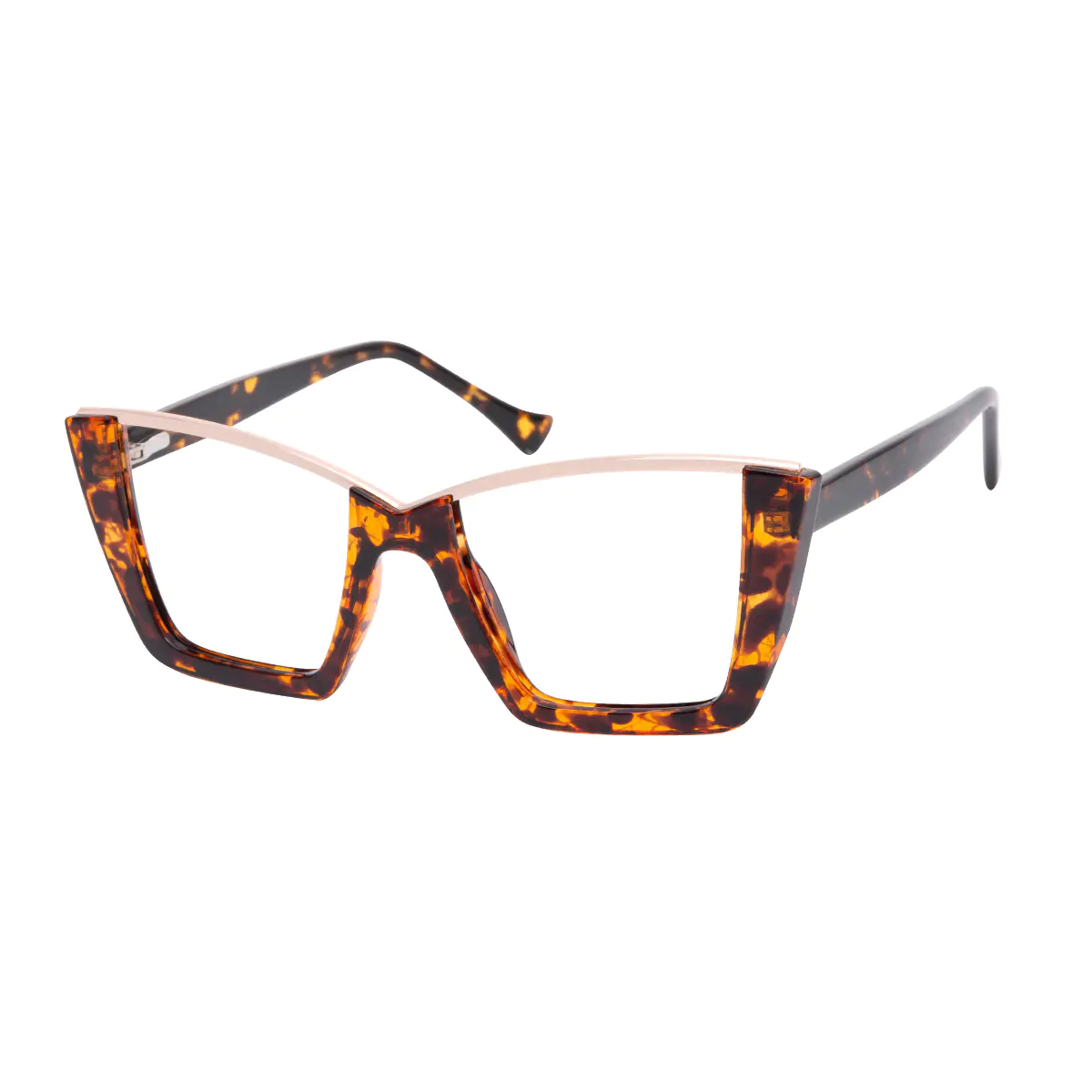 Square Tortoiseshell Eyeglasses