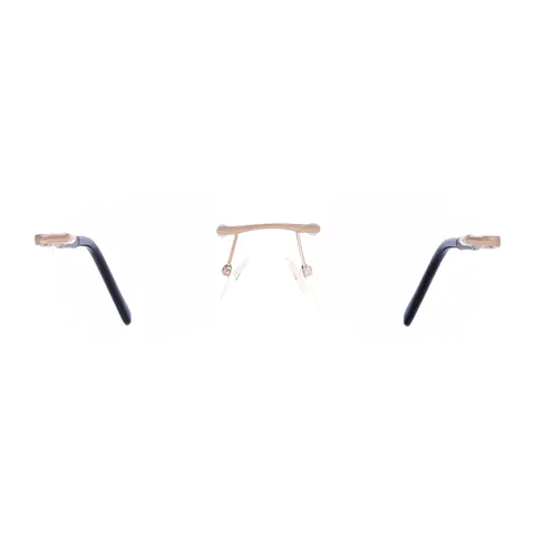 Rectangle Gold/Black Eyeglasses