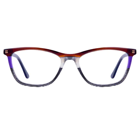 Rectangle Multicolor Eyeglasses
