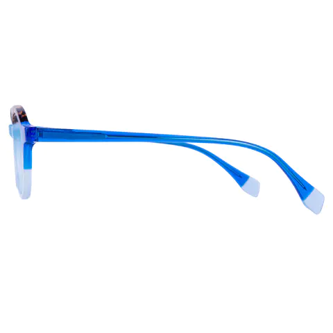 Round Tortoiseshell/Blue Eyeglasses