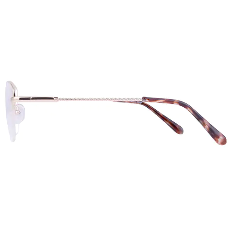 Square Gold Eyeglasses