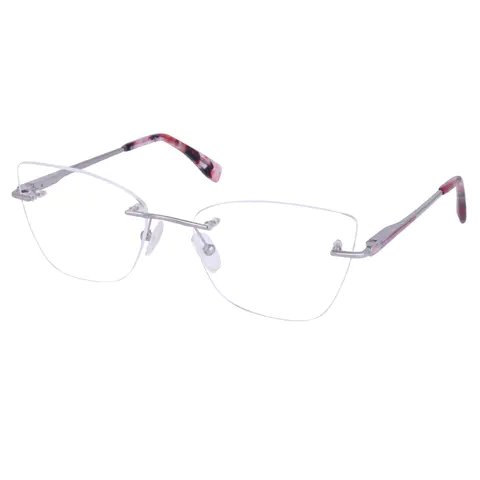 Square Silver Eyeglasses