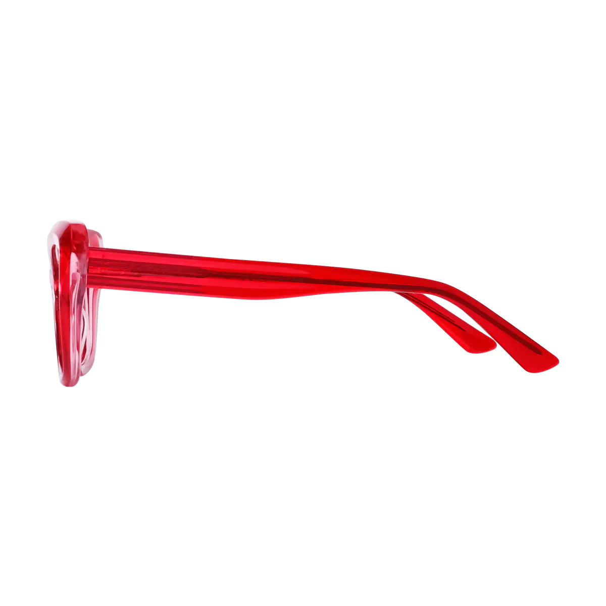 Rectangle Transparent Red Eyeglasses
