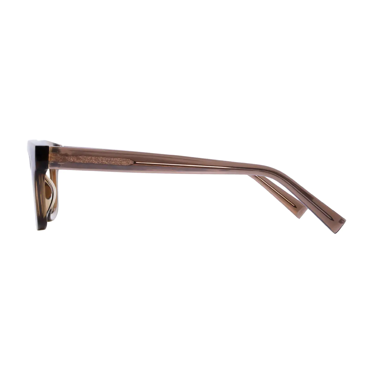 Rectangle Transparent Brown Eyeglasses