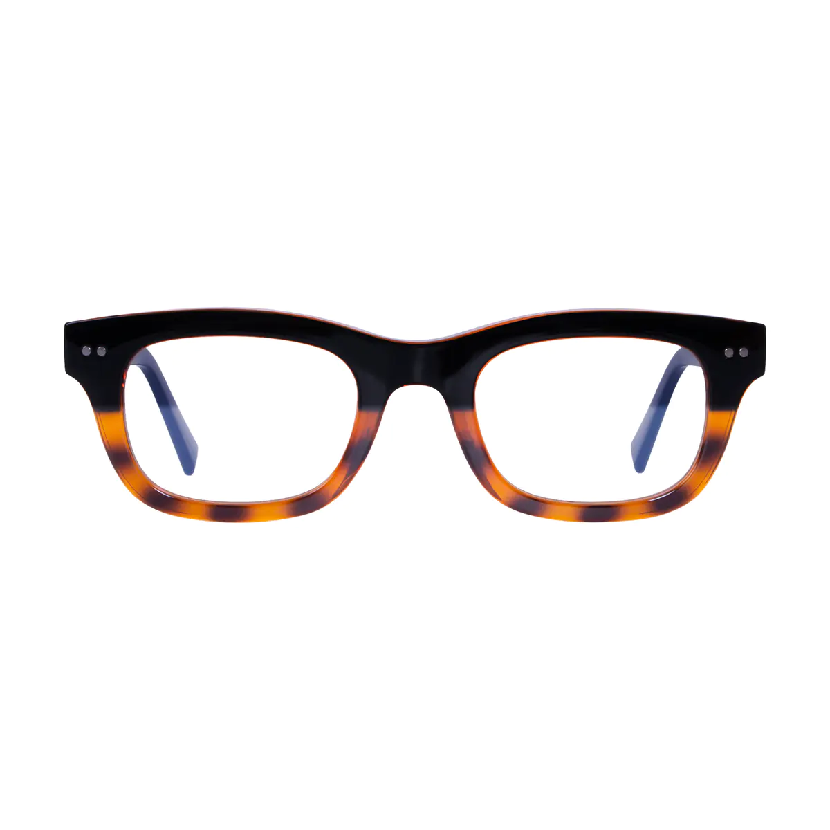 Rectangle Black/Tortoiseshell Eyeglasses