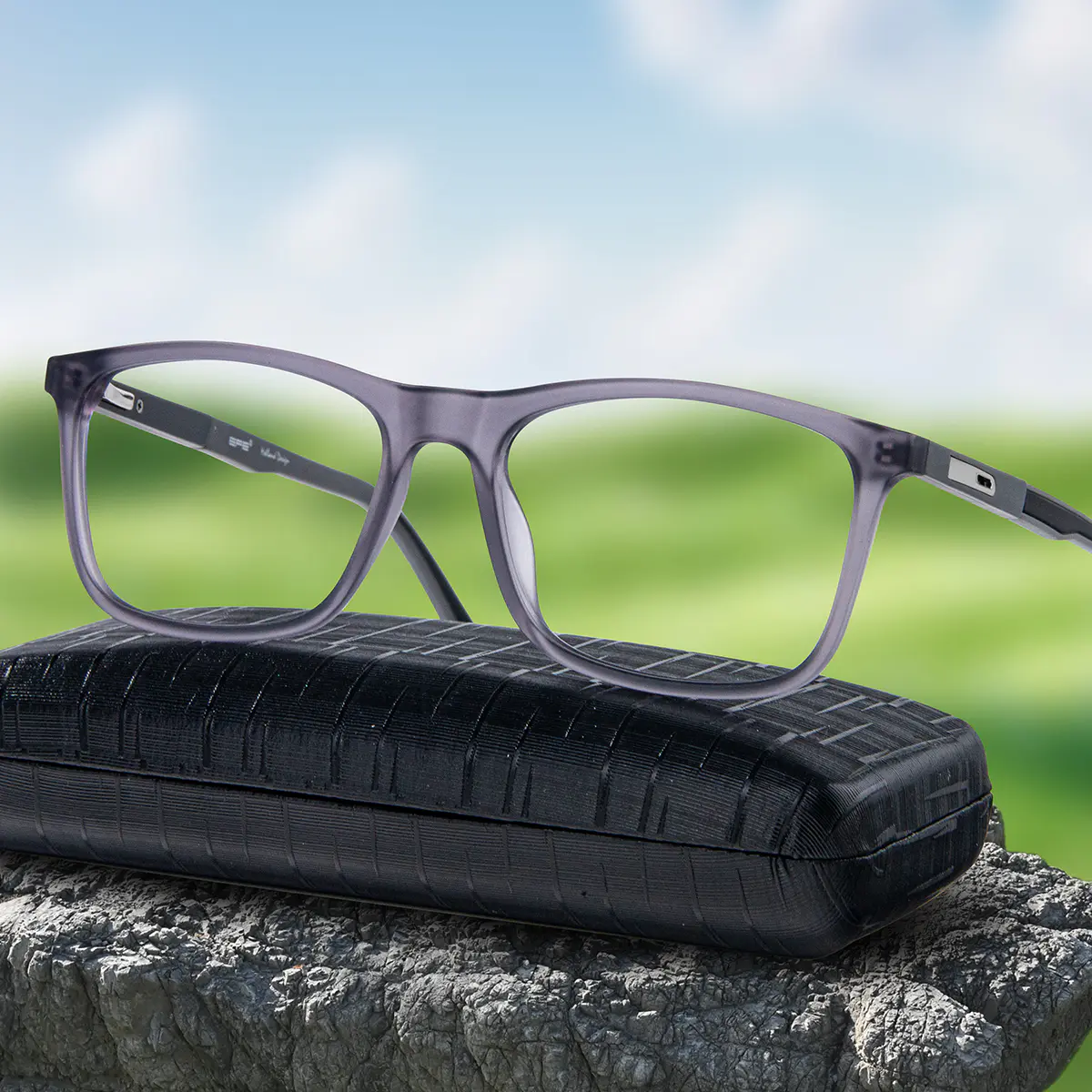 Rectangle Transparent Gray Eyeglasses